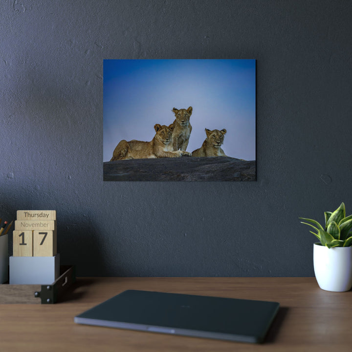 When the Light Fades Blue | Aluminum Wall Art | Elemental Escape Collection