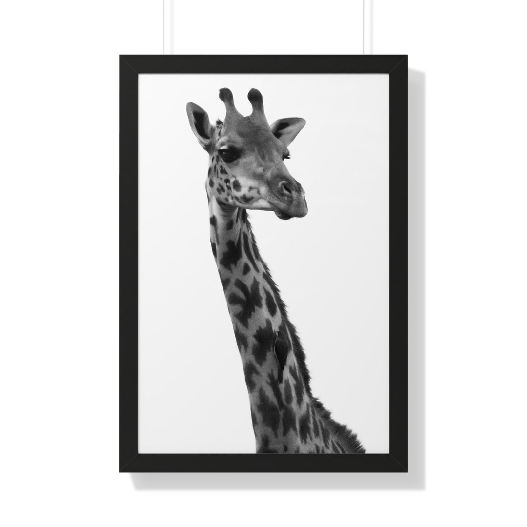 Giraffe Portrait in Black and White - Framed Print