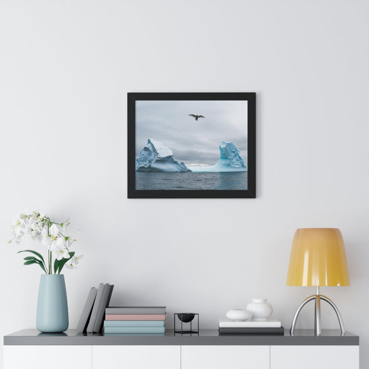 Antarctic Flight - Framed Print