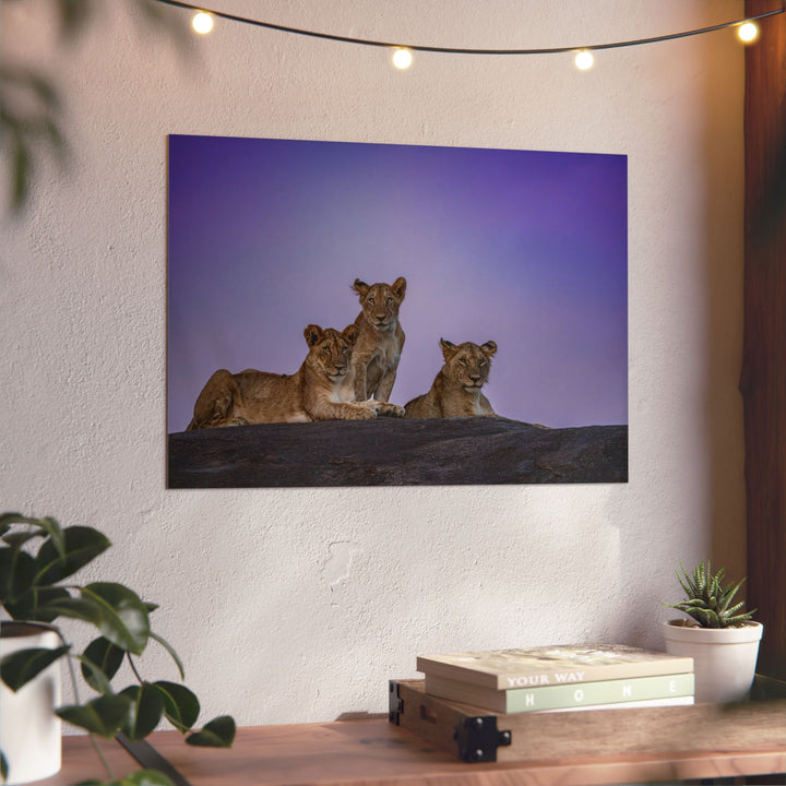 When the Light Fades Purple | Aluminum Wall Art | Elemental Escape Collection