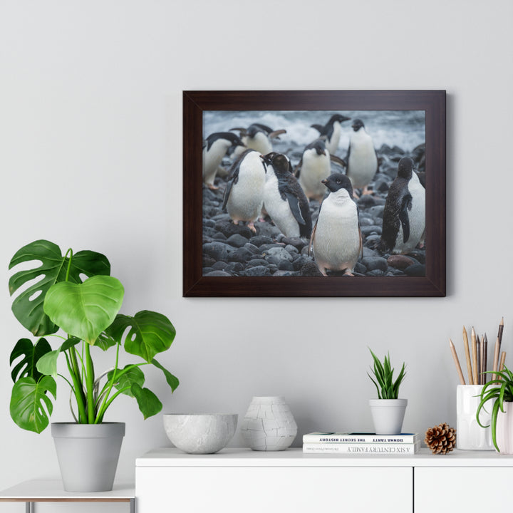 Drying Out - Framed Print