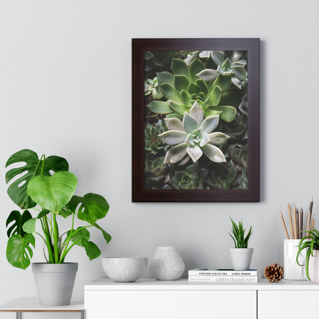 Succulent Array - Framed Print