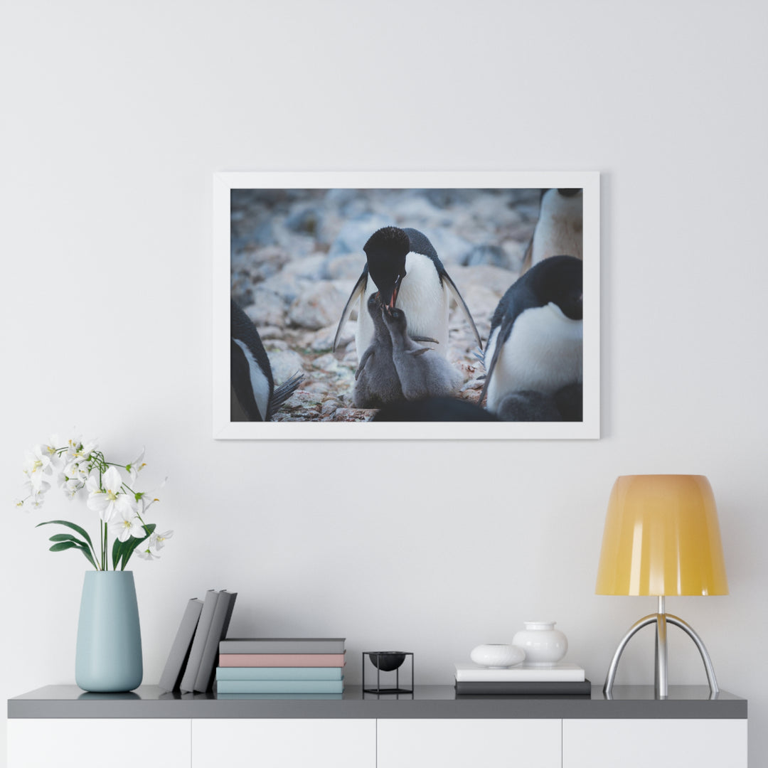 Feeding Time - Framed Print
