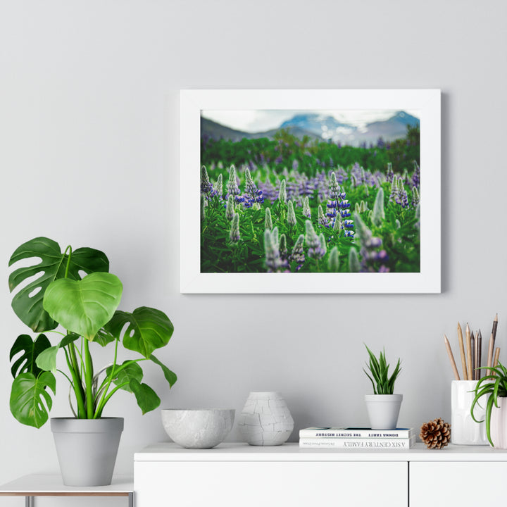 Glowing Lupin with Mountains - Framed Print