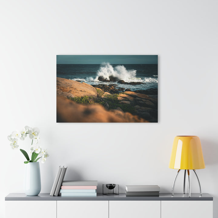 Resilience | Acrylic Wall Art Print | Elemental Escape Collection