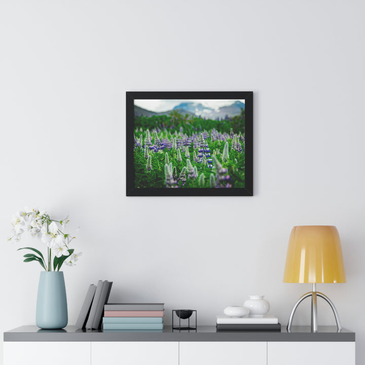 Glowing Lupin with Mountains - Framed Print