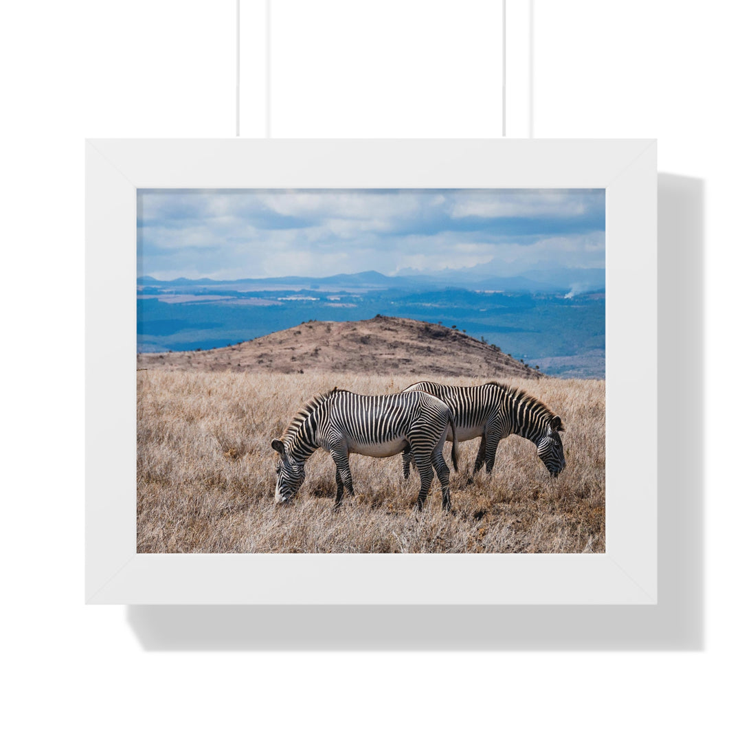 Zebra-Striped Expanse - Framed Print