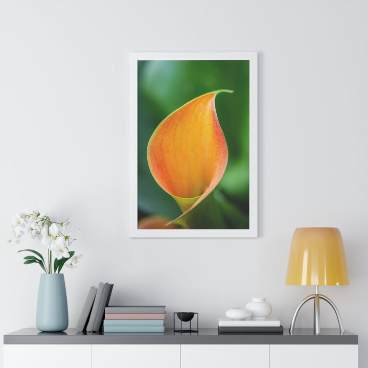 Orange Calla Lily - Framed Print