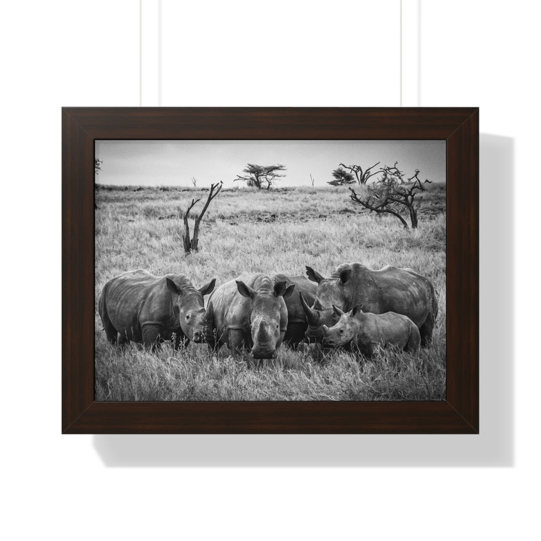 Rhino Family in Black and White - Framed Print