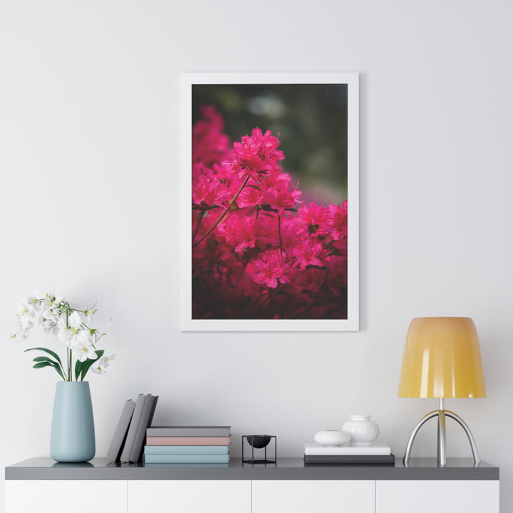 Full Bloom - Framed Print