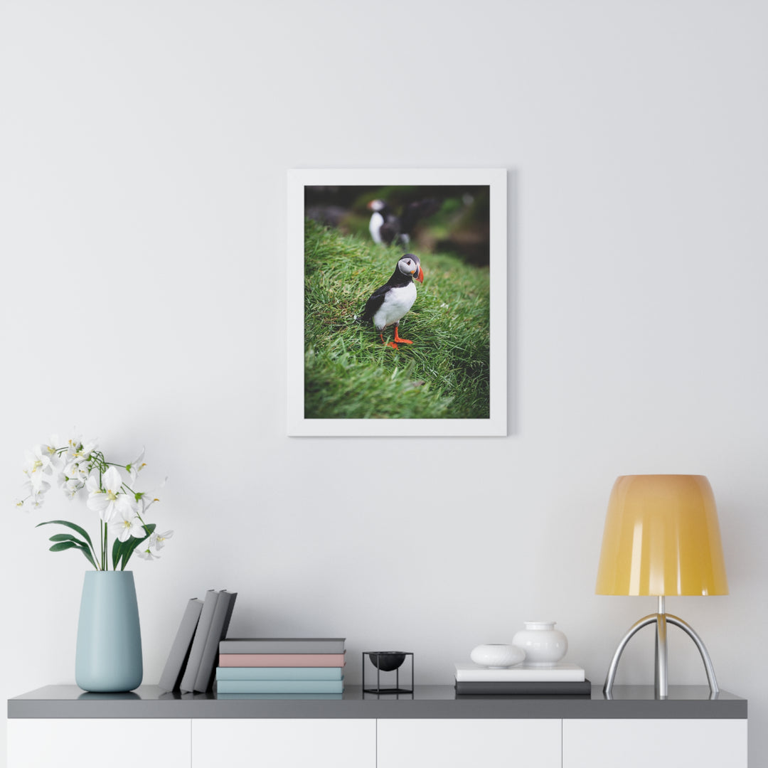 Curious Look - Framed Print