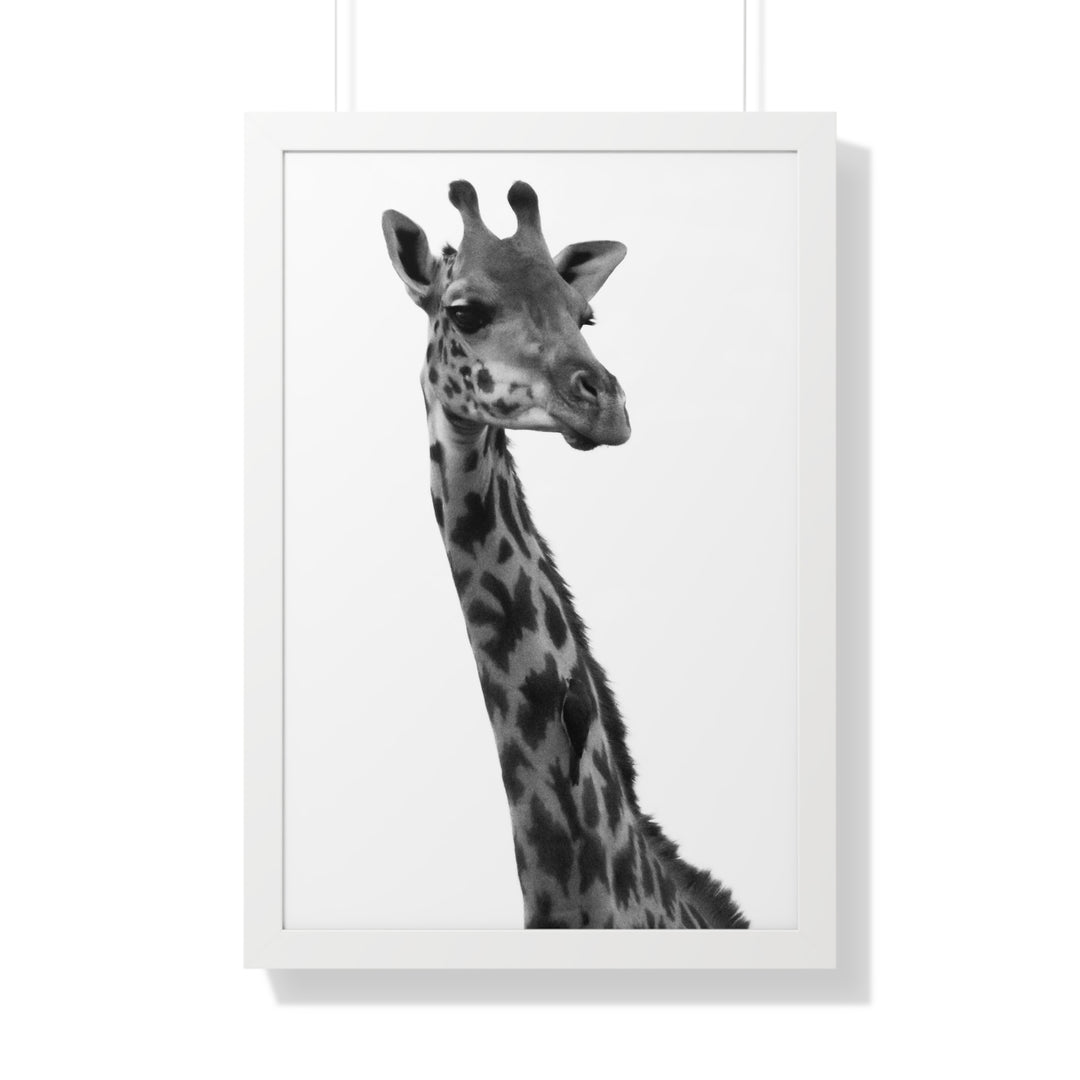 Giraffe Portrait in Black and White - Framed Print