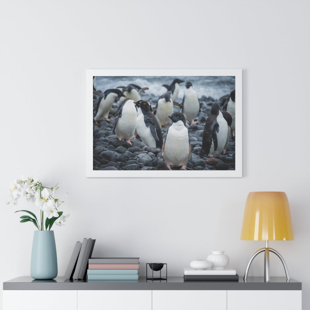 Drying Out - Framed Print