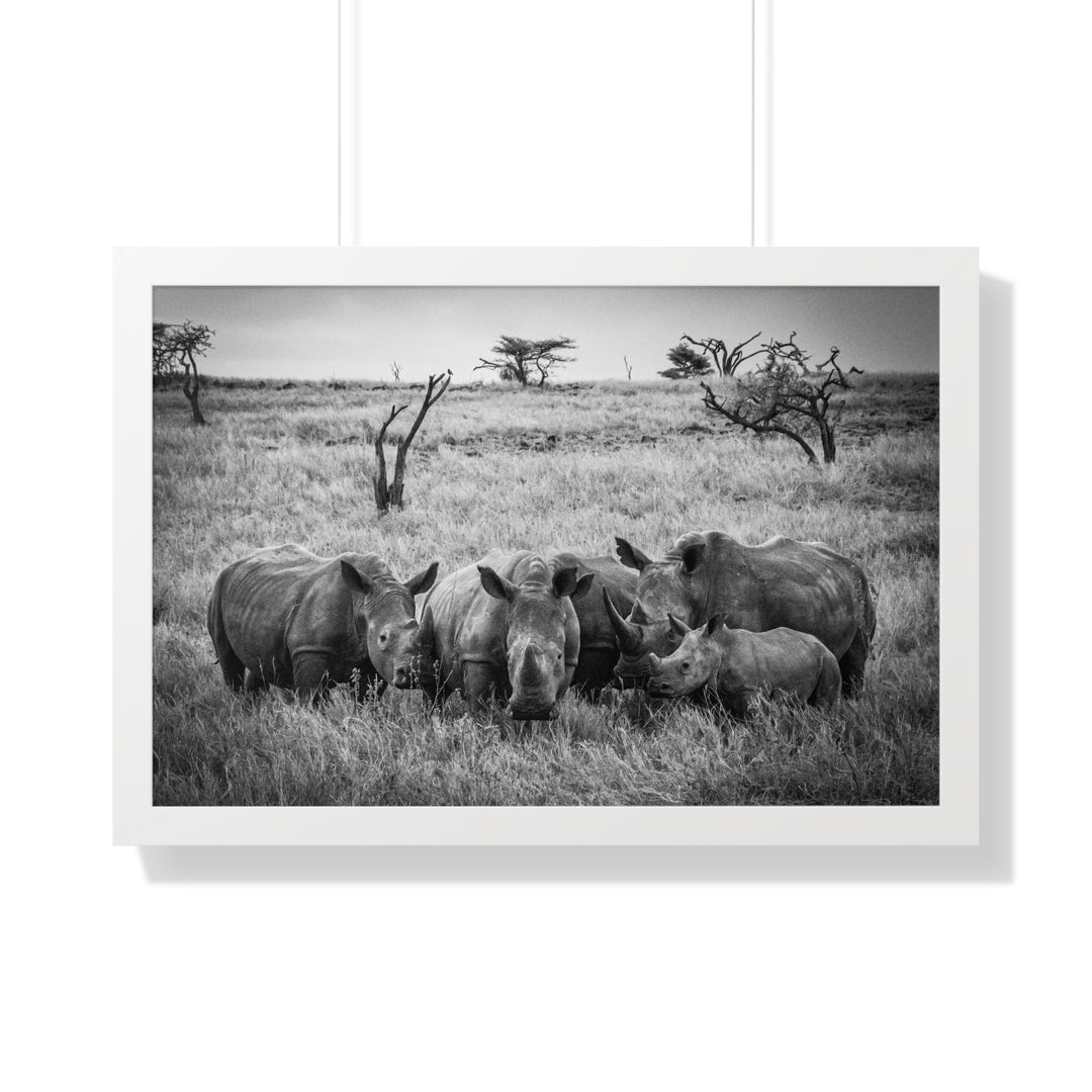 Rhino Family in Black and White - Framed Print