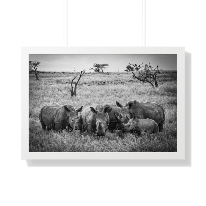 Rhino Family in Black and White - Framed Print