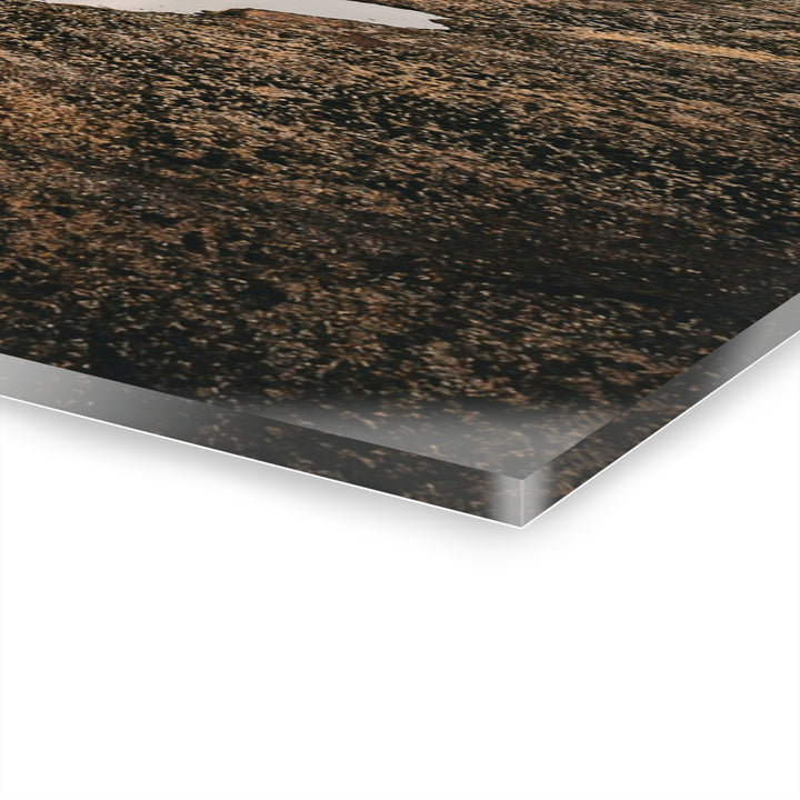 A Road Worth Traveling | Freedom | Acrylic Wall Art Print | Elemental Escape Collection