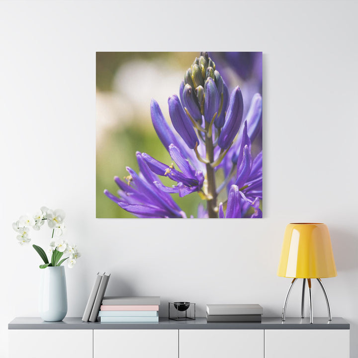 Camas in Bloom - Stretched Canvas Print, Floral Wall Art, Purple Flower Canvas, Home Decor, Nature Art for Living Room, Gift for Her, Botanical Print
