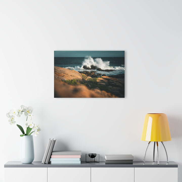 Resilience | Acrylic Wall Art Print | Elemental Escape Collection