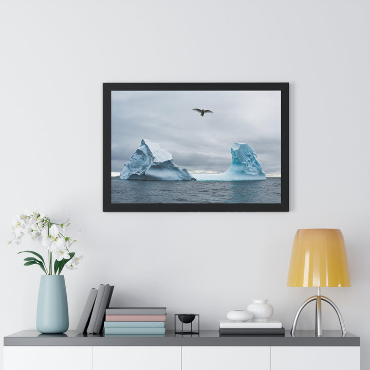 Antarctic Flight - Framed Print