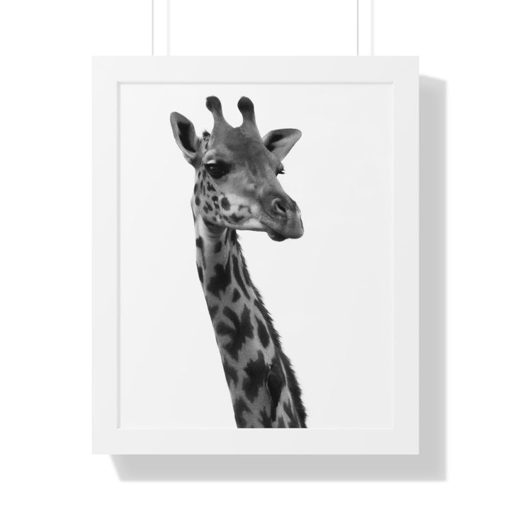 Giraffe Portrait in Black and White - Framed Print