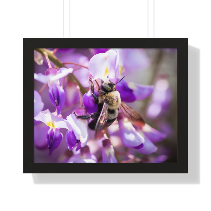 Hungry Visitor - Framed Print