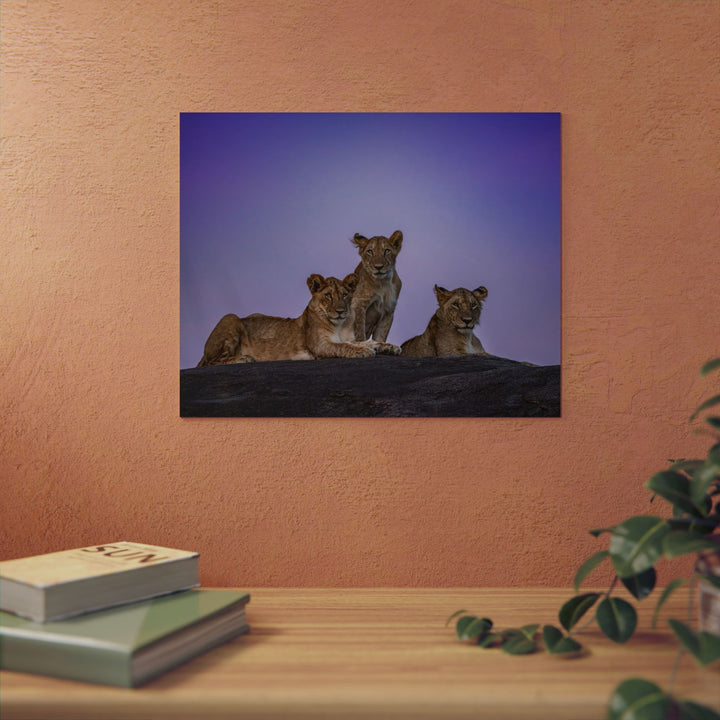 When the Light Fades Purple | Aluminum Wall Art | Elemental Escape Collection