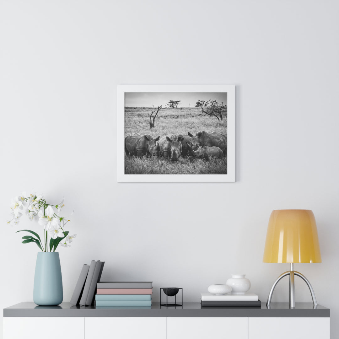 Rhino Family in Black and White - Framed Print