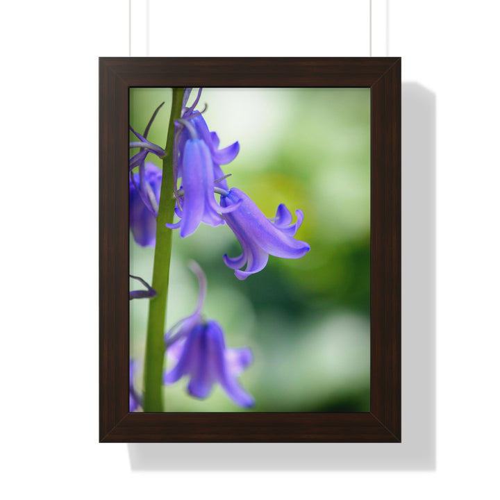 Delicate Bell - Framed Print