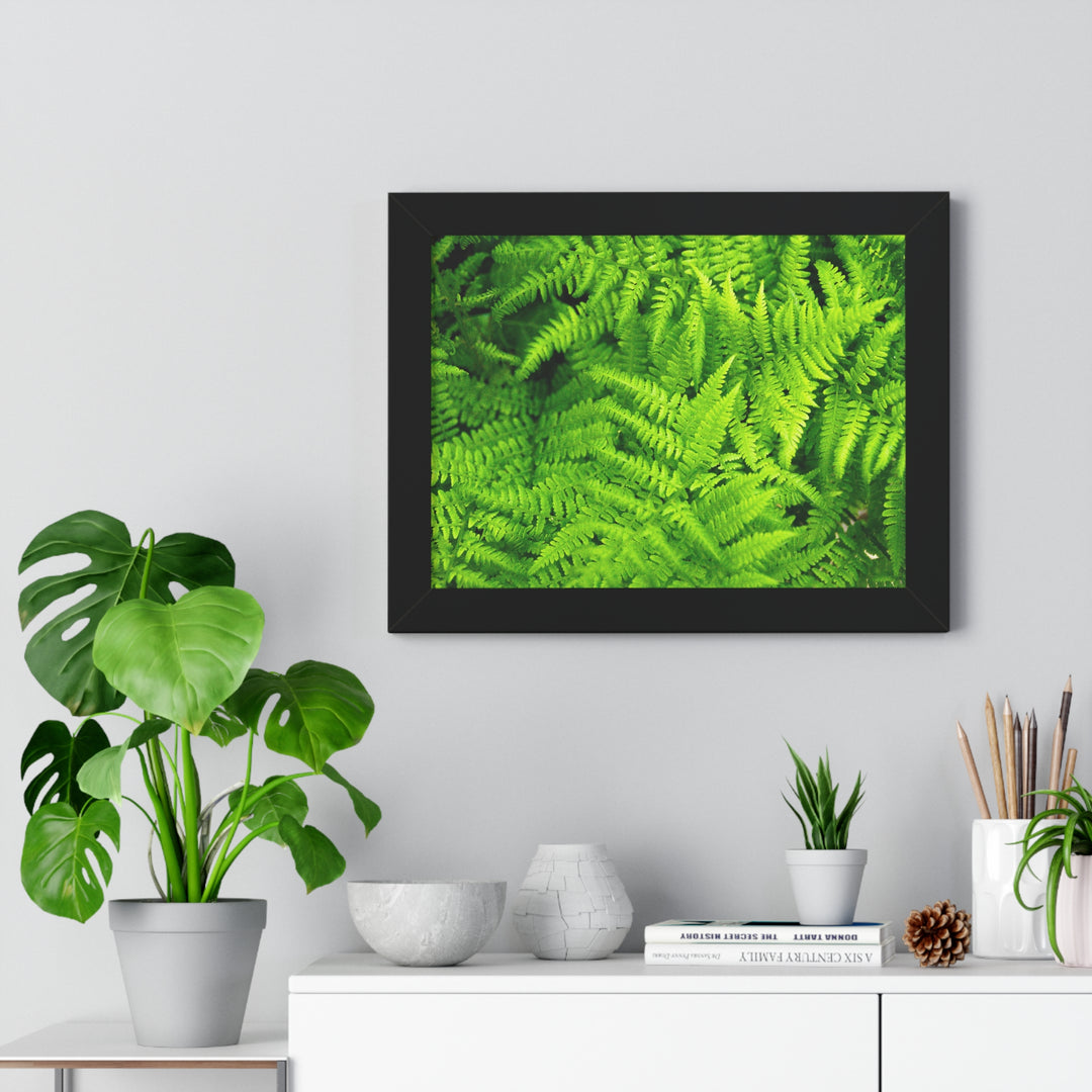 Ferns, Ferns, Ferns - Framed Print