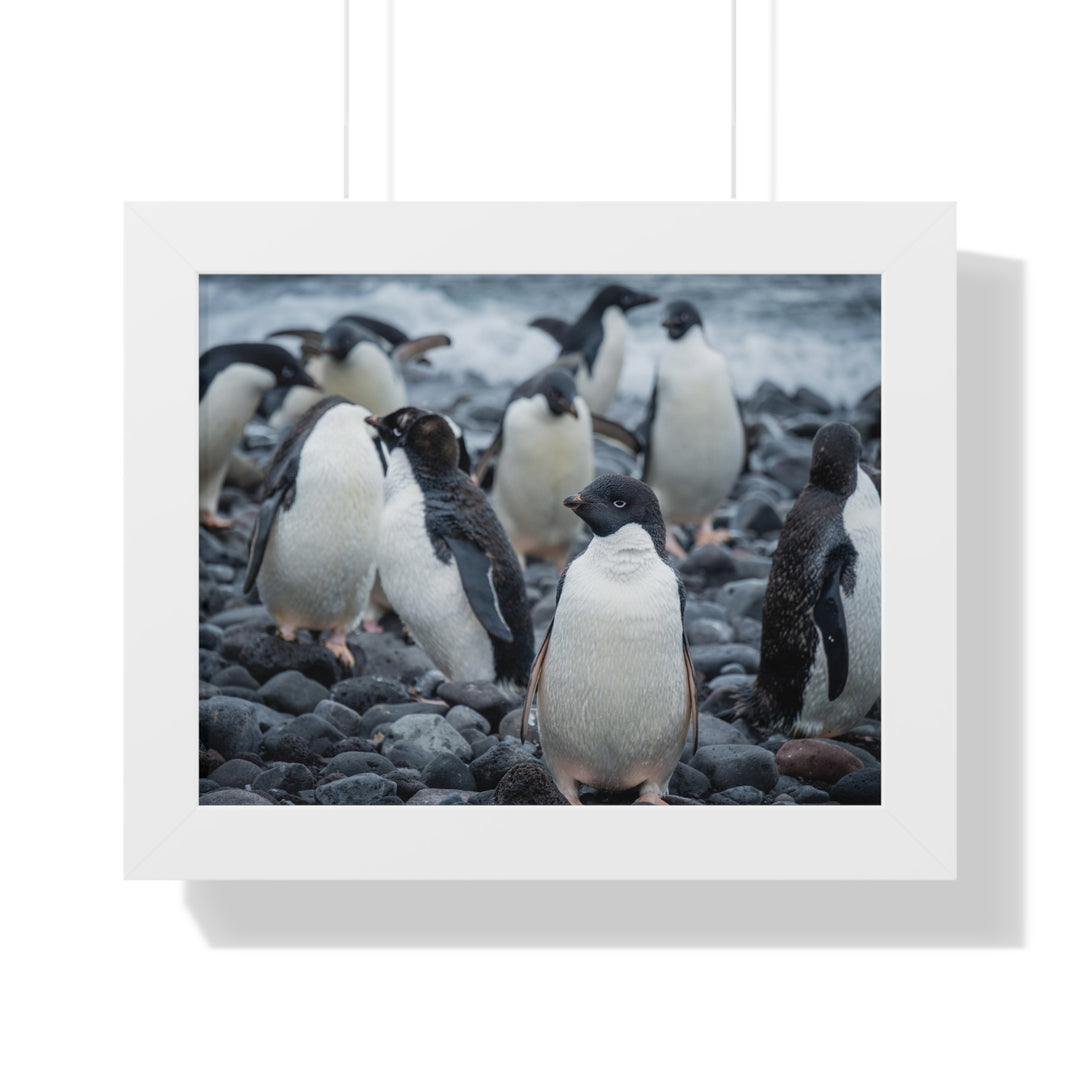 Drying Out - Framed Print