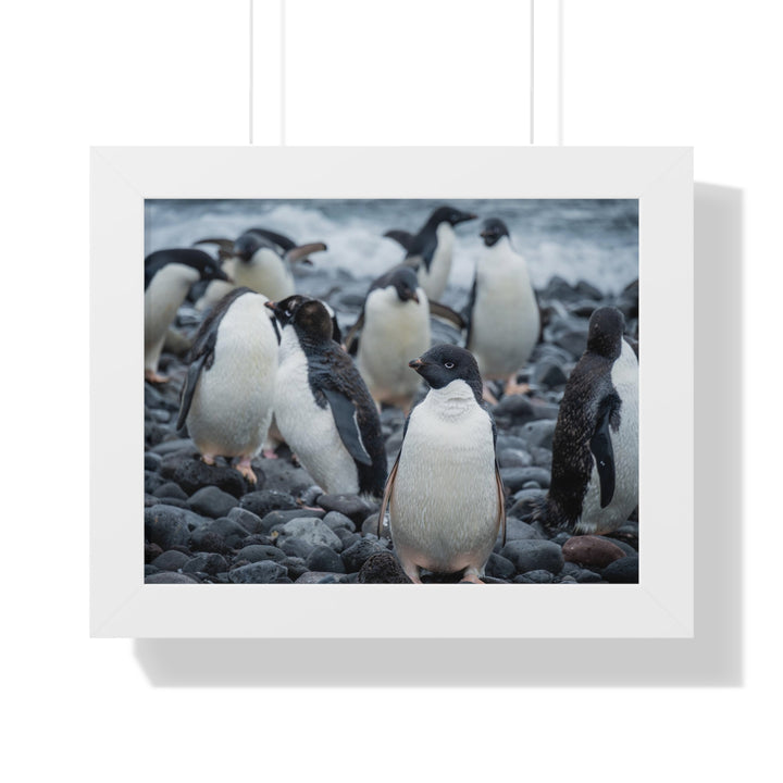 Drying Out - Framed Print