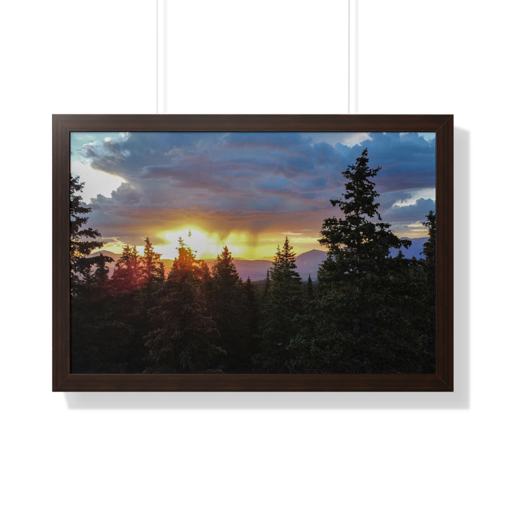 Rainy Sunset Through the Trees - Framed Print
