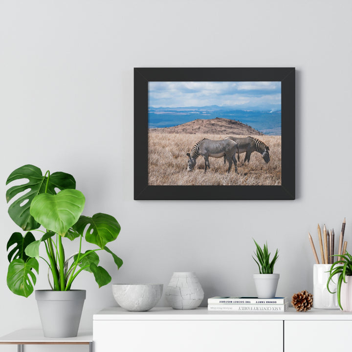 Zebra-Striped Expanse - Framed Print