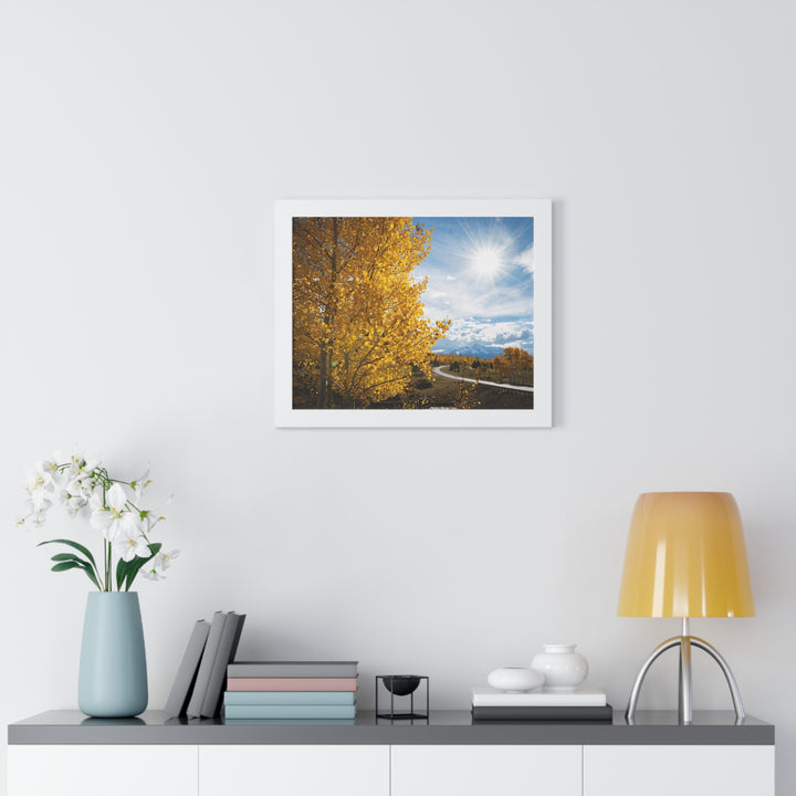 Golden Sunshine - Framed Print
