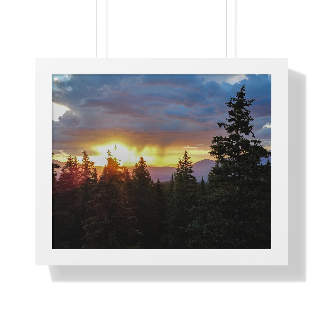 Rainy Sunset Through the Trees - Framed Print