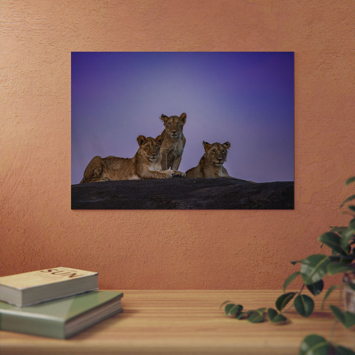 When the Light Fades Purple | Aluminum Wall Art | Elemental Escape Collection