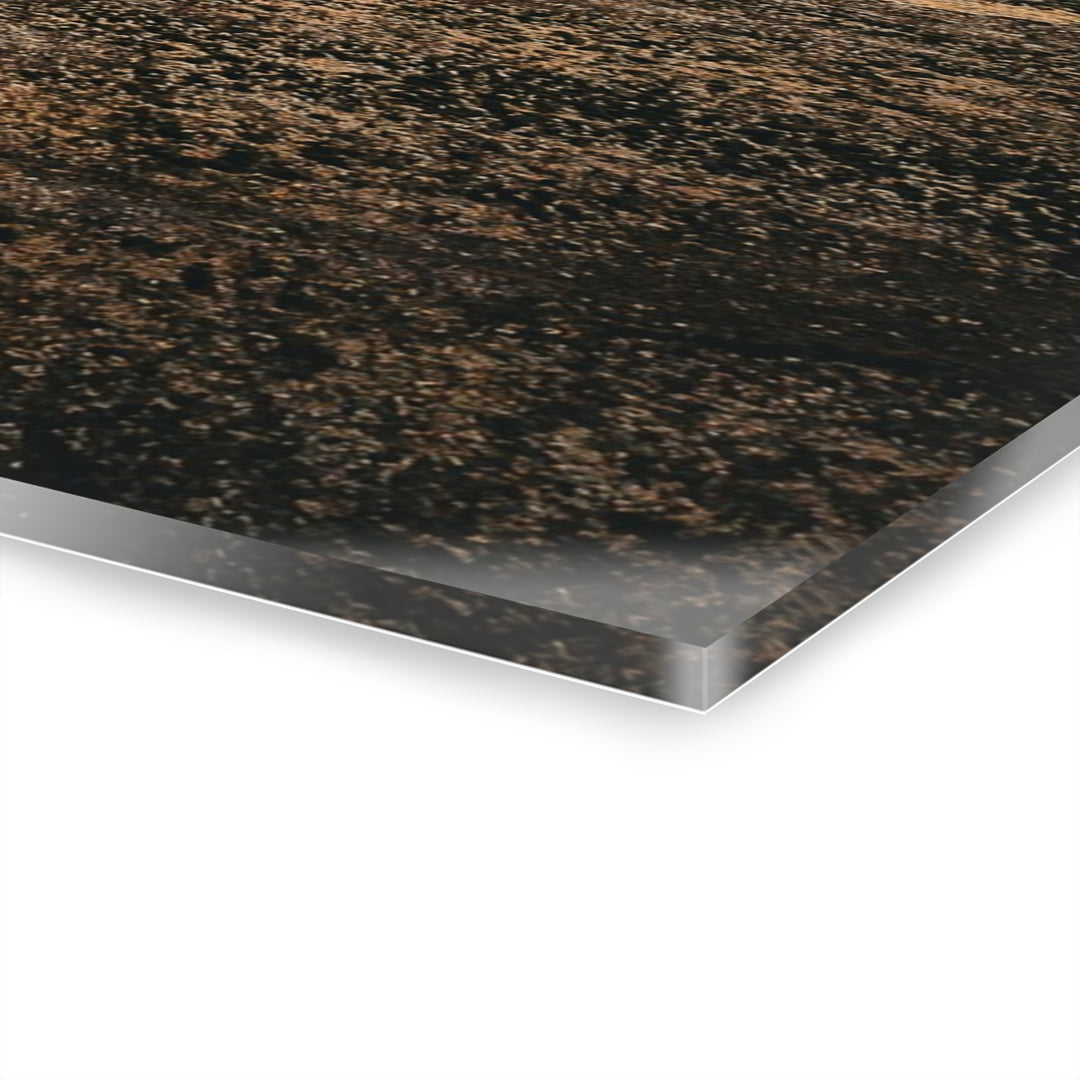 A Road Worth Traveling | Freedom | Acrylic Wall Art Print | Elemental Escape Collection