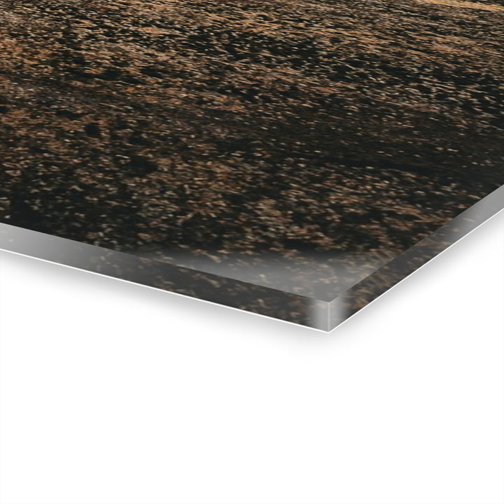 A Road Worth Traveling | Freedom | Acrylic Wall Art Print | Elemental Escape Collection