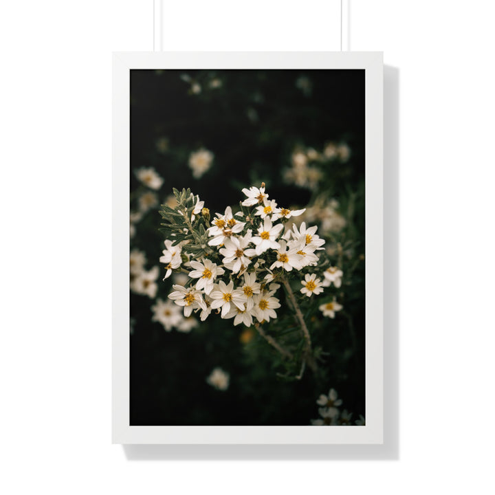 A Touch of White - Framed Print
