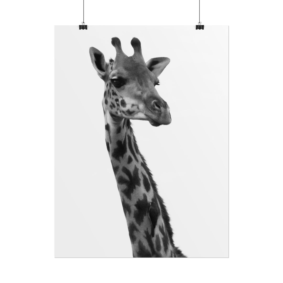 Giraffe Portrait in Black and White | Rolled Unframed Print | Elemental Escape Collection