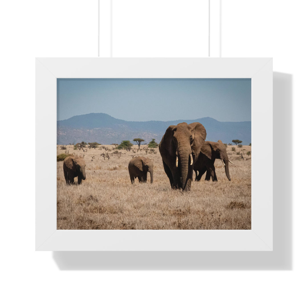 Family March - Framed Print