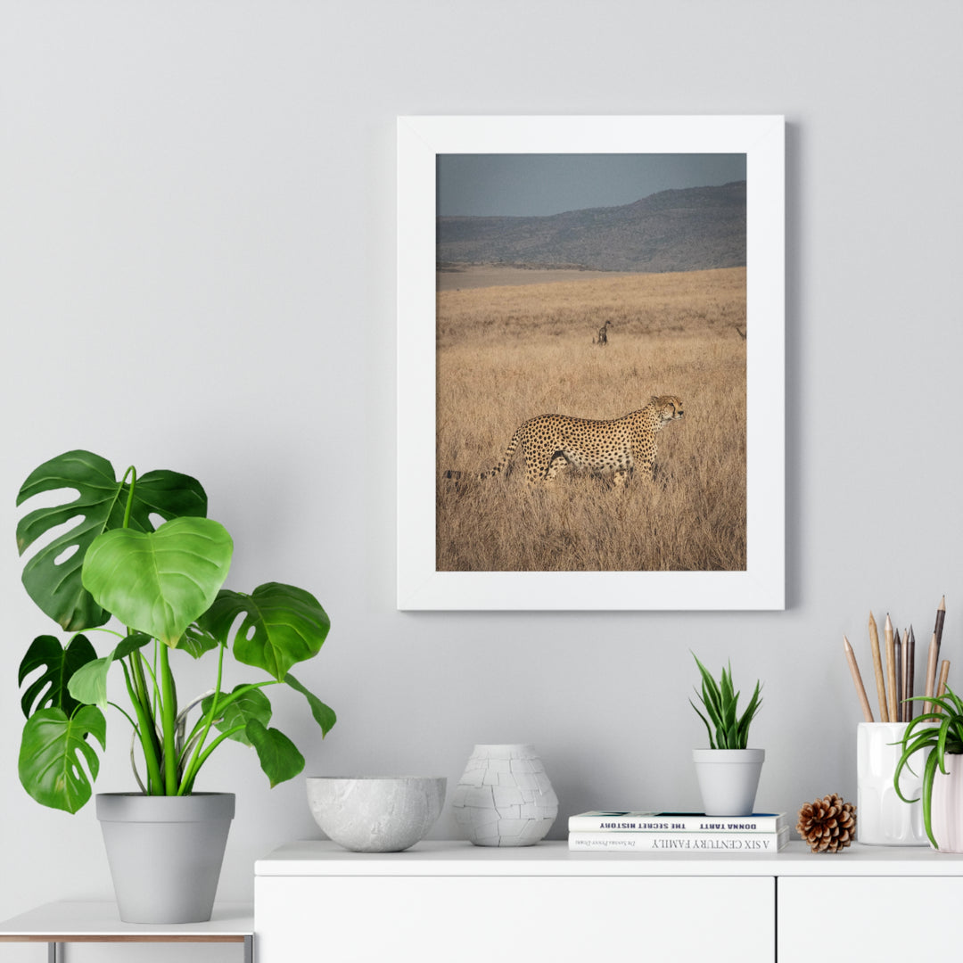 Regal Camouflage  - Framed Print