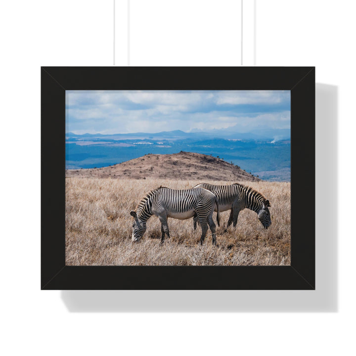 Zebra-Striped Expanse - Framed Print