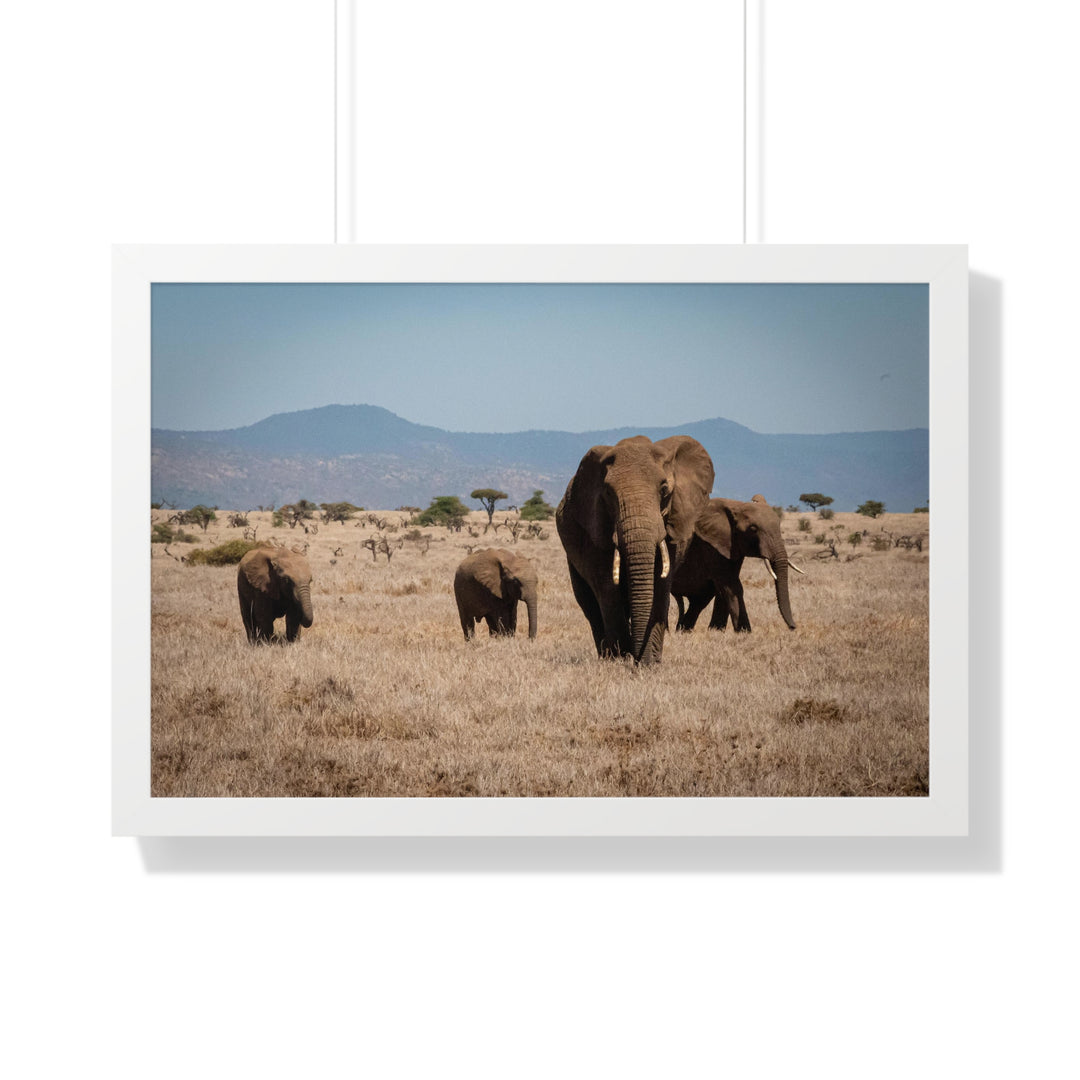 Family March - Framed Print