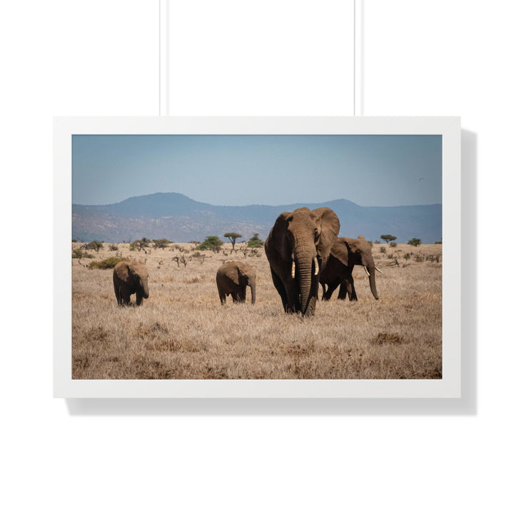 Family March - Framed Print