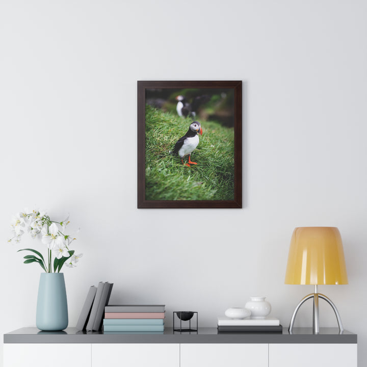 Curious Look - Framed Print