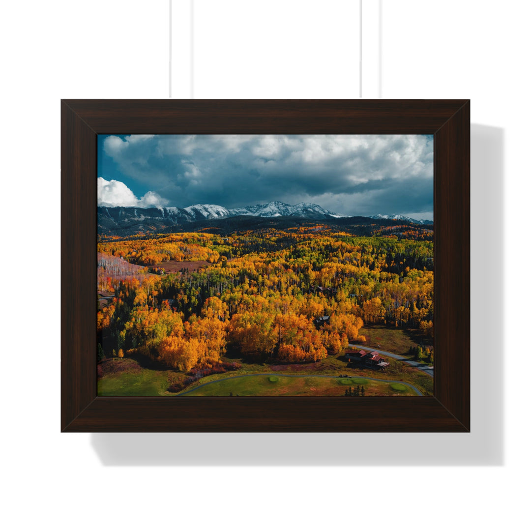 Golds of Autumn - Framed Print