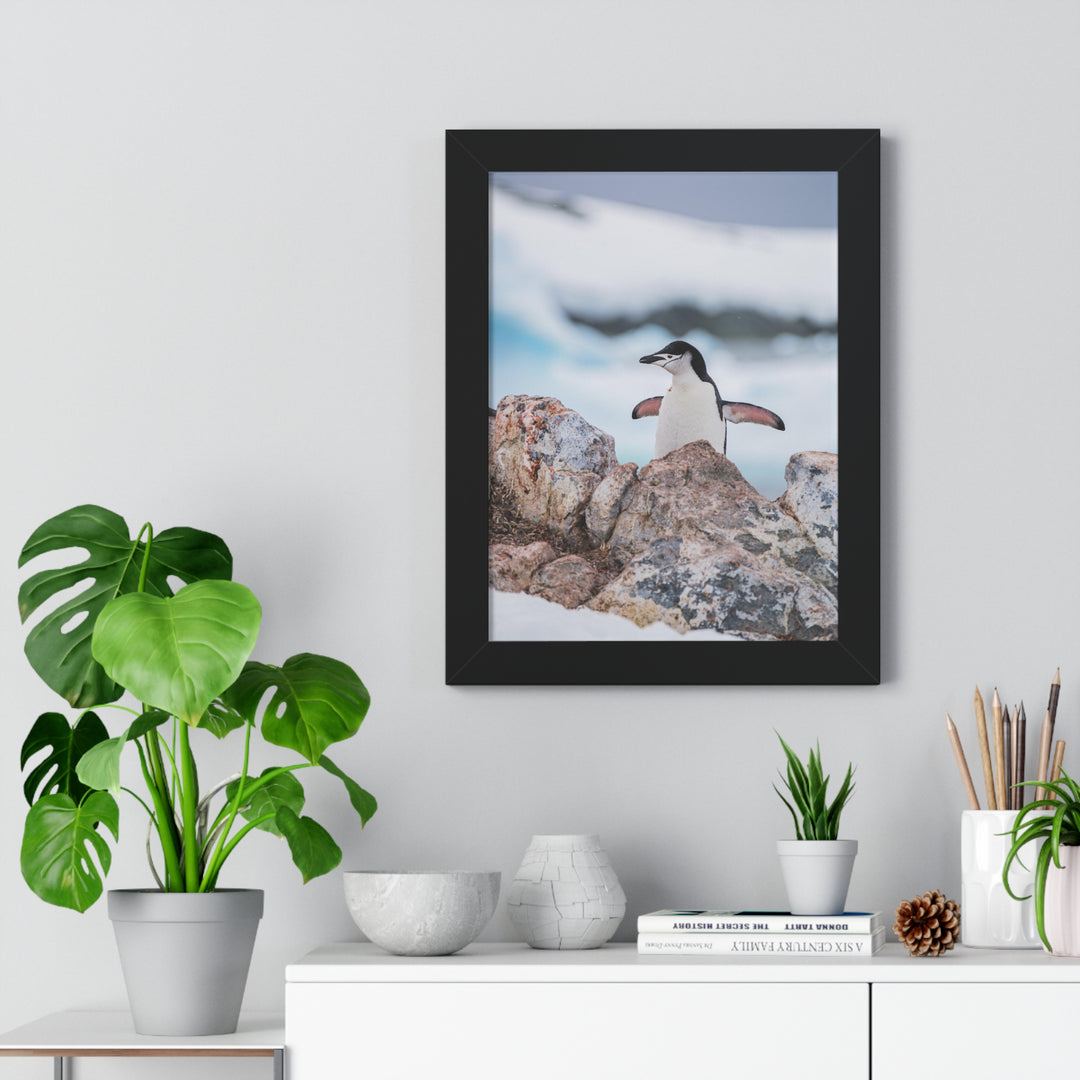 Stretched Penguin - Framed Print