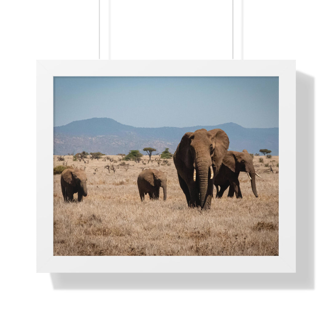 Family March - Framed Print