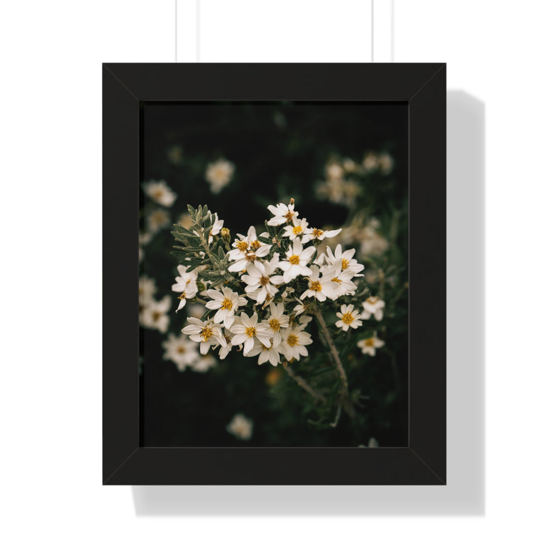 A Touch of White - Framed Print